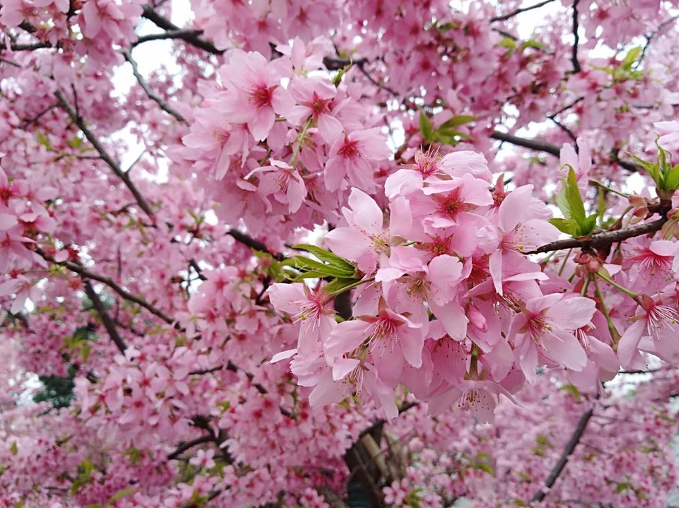 z2Oi6GDd3SwUPHLUGn4w10UcvwUUVYmurm_ctwr-02_bgBp9RxRx2iTg9dkt0oi2