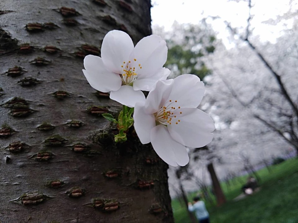 epcdxp5wAZRNPRlvAwI31F1mSIShlgO9v_InSLjqqOn2zHsmOKu0f9lcFnWU9NP8