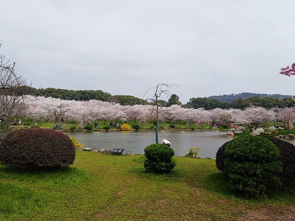 dldaEDkMEIY42lxmzC0TVwe-an3LMoLPXC72ka23LWaRNWOrkWY_e_kmE0RGKbNU