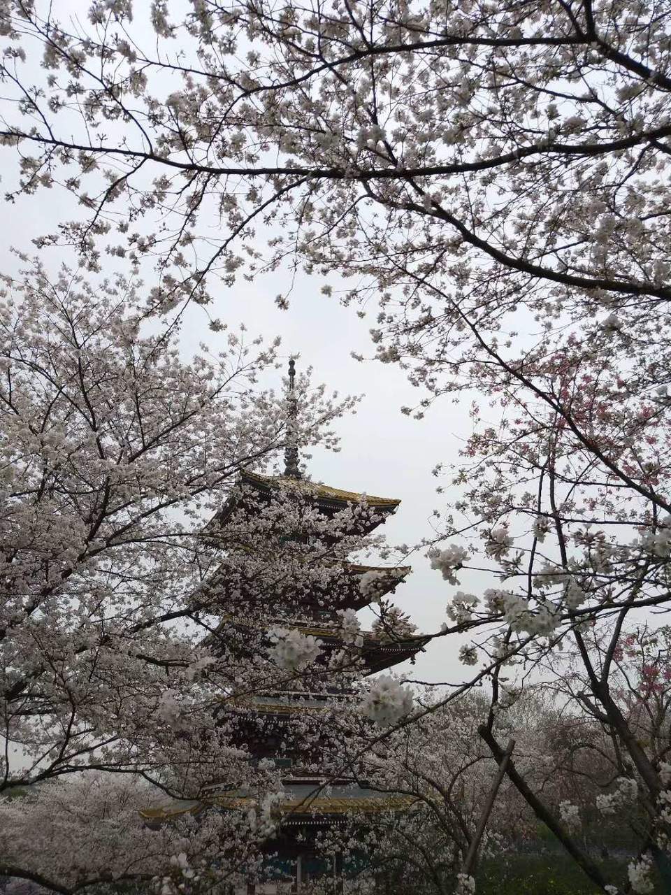 sygL783WsqJu3o0-u6fZT2jx6eQPYFZeAtC8rTw4GHzcFPXfYGKhyA-SBaWyk2ff