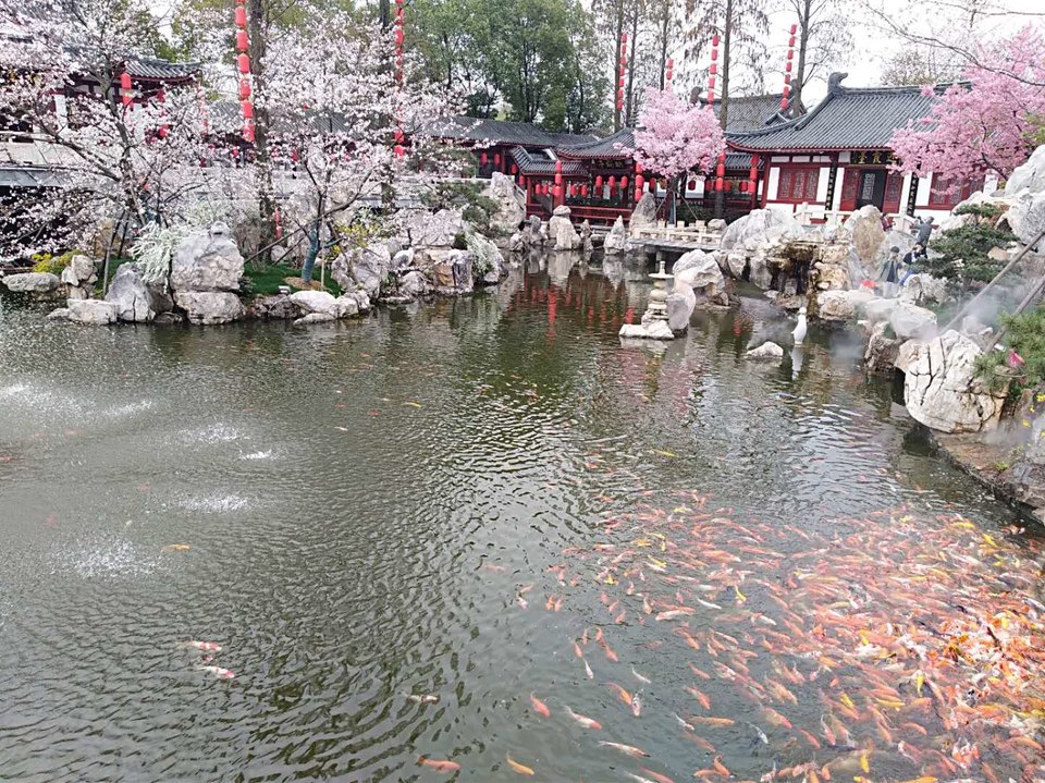 WQwKN2uNIKlDosMpTCcSe4Oe_thpZP_EFLlYR5ECu3DdRRG5MMD5orvxWgJG1CL8