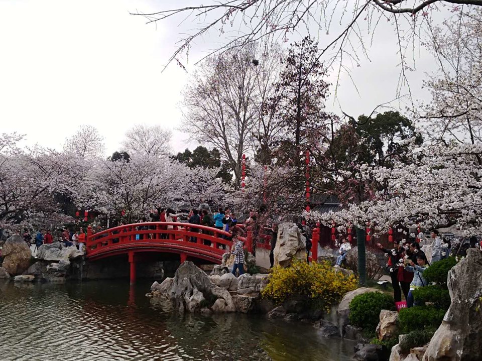 fqftXVC-q4M8bmmCUWyyu415s8G7l3_T_pvAD1Ge-Nr1PHHsB2cQuyfKy4F2mXy9