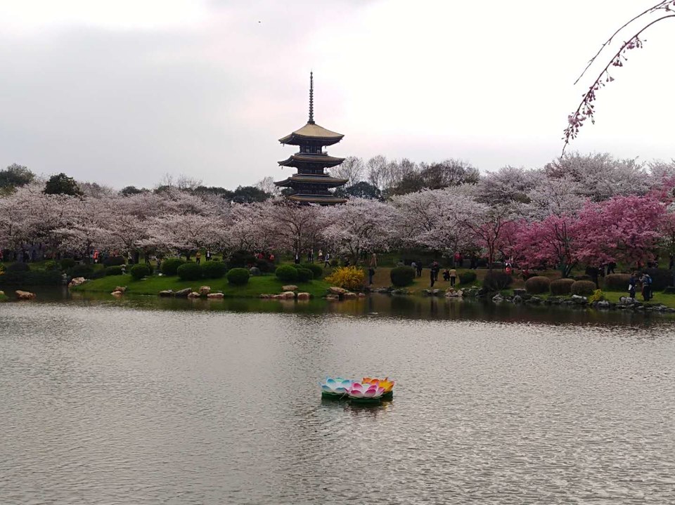 3RWXnGgXlLDf7HEMvMfZ98yqMWOAGy6SdZ60w9ZDWRiWZkqVDjMvJGLdQtN4hzvu