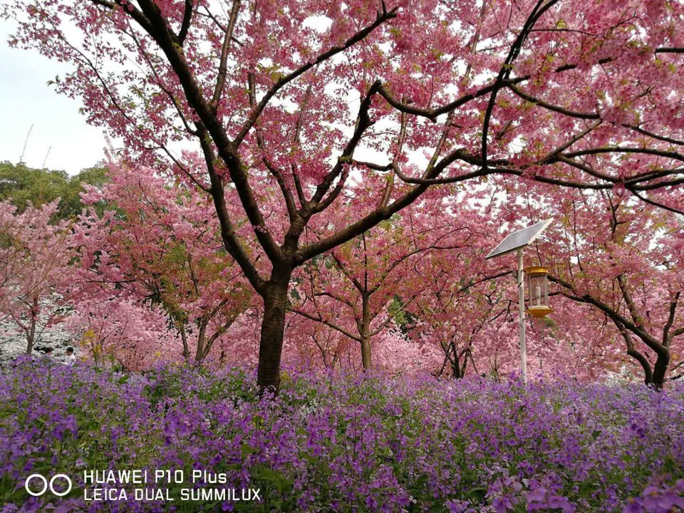 indmeWMPrsgnlCnnE8SZIJ4gksfmCC73DTneQV9gEhXa4eZsgivT3KBBpDnCp5sA