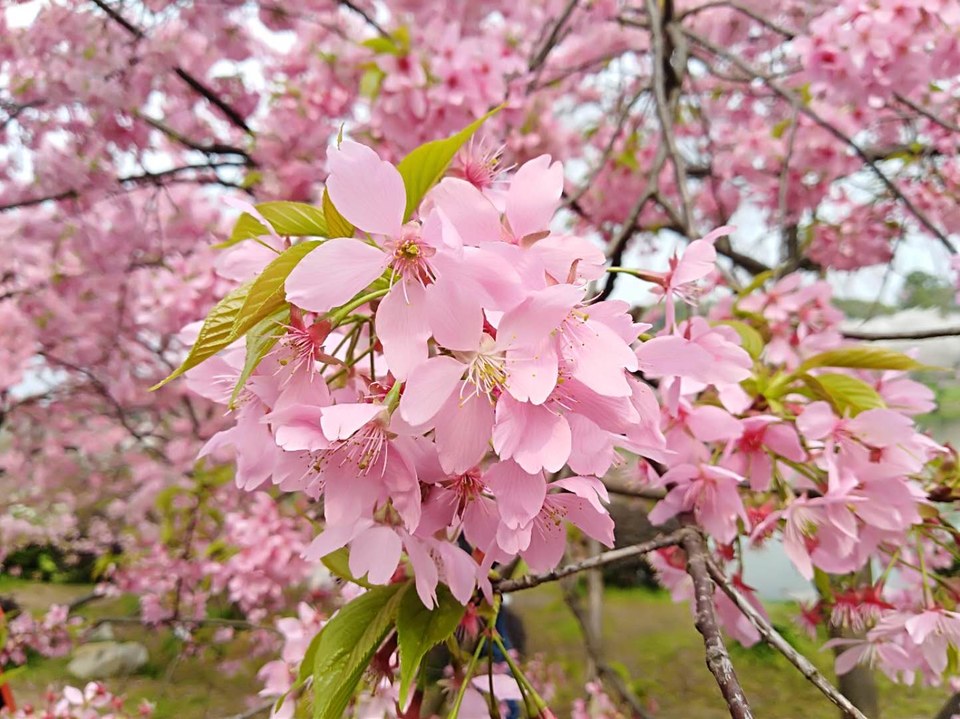 rKWfoYbv4Fwc0PPio0QDgnTTmICeqfABl0xA6GlkEkKQs9yRLtemx8wHe1TFp0hj