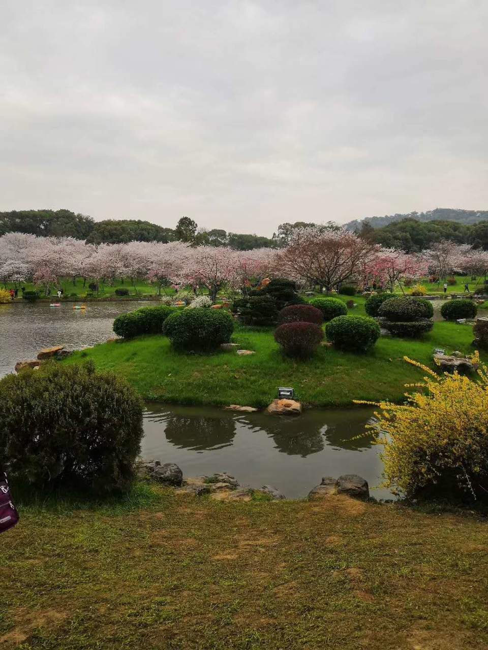 N-ckRF9lW5DJZHdrNjndTdK_TGtri5LaeVmRNWiyjnMQMBWRPpz8da_8XOqaf3CN