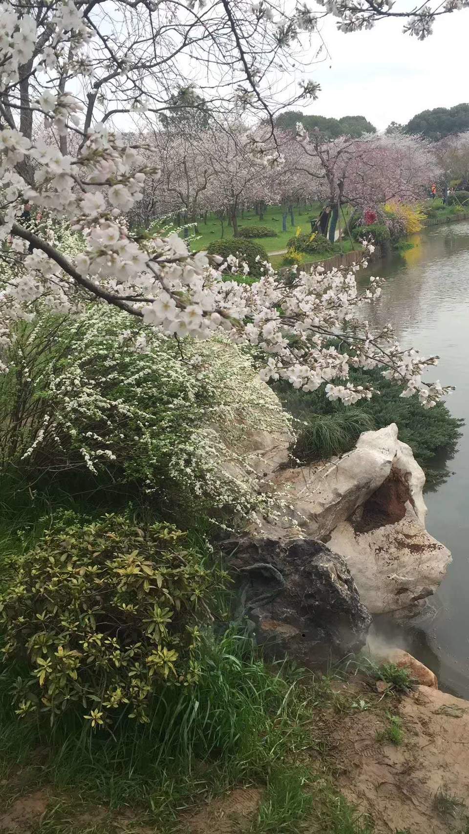 t1dz47Do_9y8H9u7u6PefvBekmnnN7cpwGbnC9OdeZRAC2UfdtQbV1tsC3t9w4fm