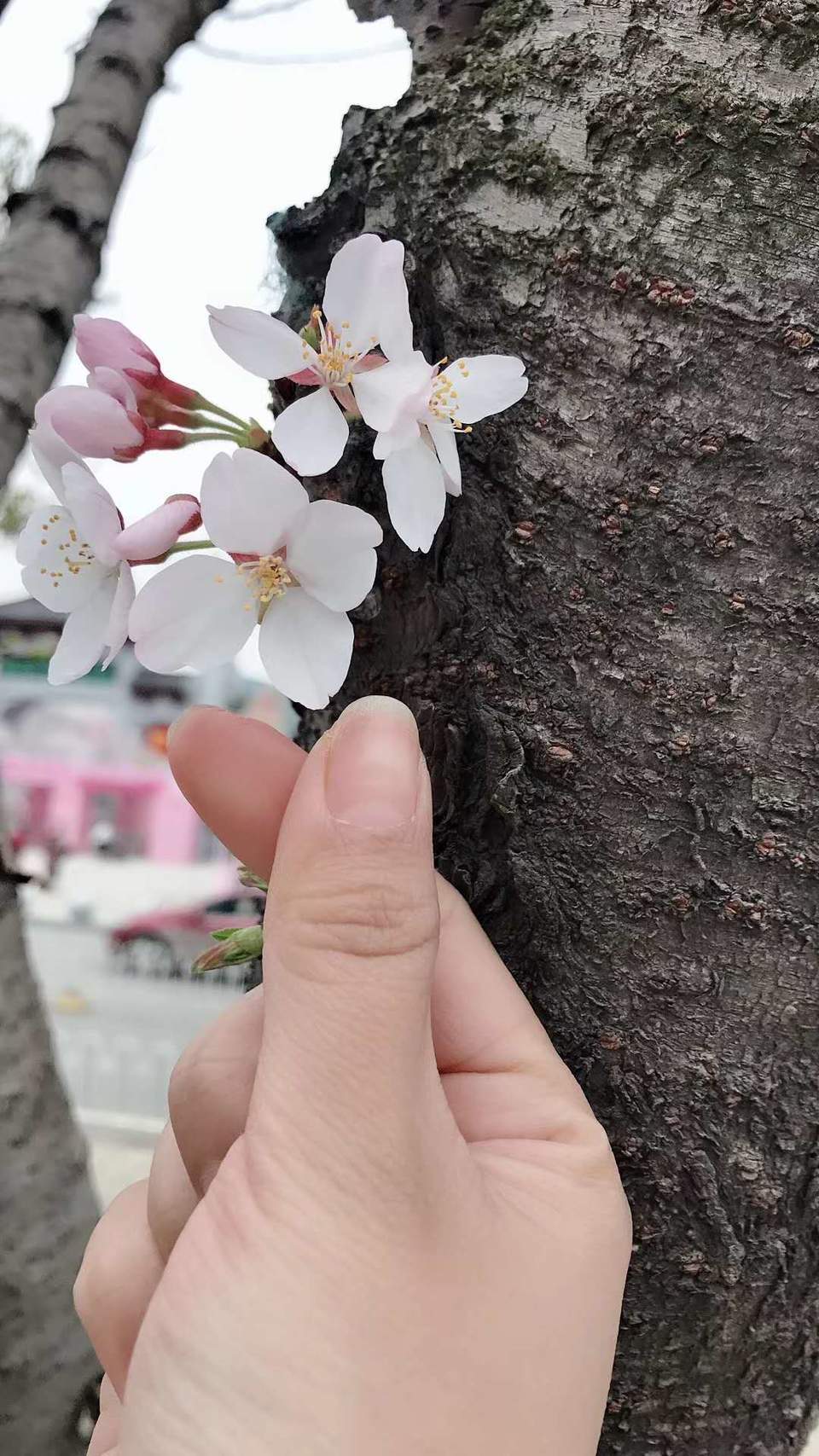 GIXKVvvEUD0CDLtdLQ_SaauuMWDAZ8wIpZewgwc6O3UySzGD8PpBgwN3AlypiXyI