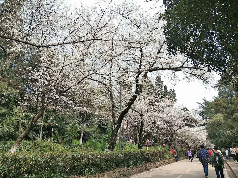 YgwUk021n4j9wTVVt6mIoV0exAUh-rpWdWNbAXbMWjAl3Vpm1Lk5GDatGDwSU9fo