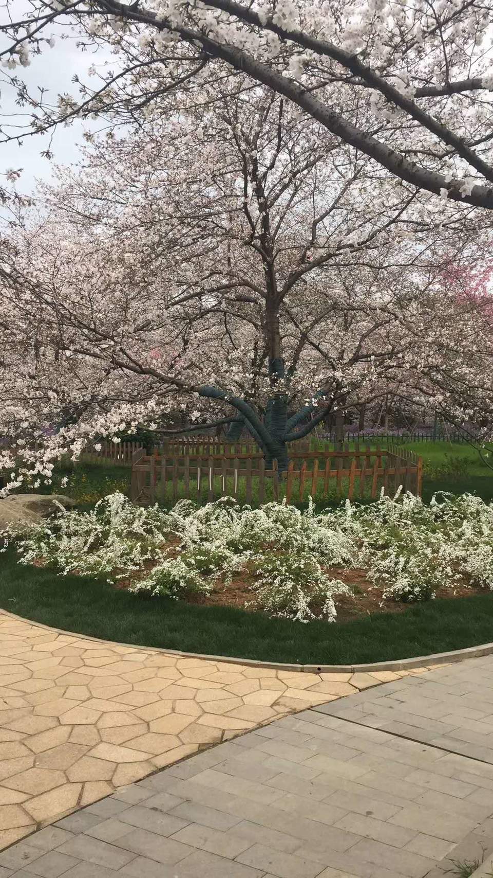 Ucse0kbA6ppRgbwJkwe0O7Vx63xxANyphirWMsHBmsQHF0bj4cfcNvQzutuON7Ce