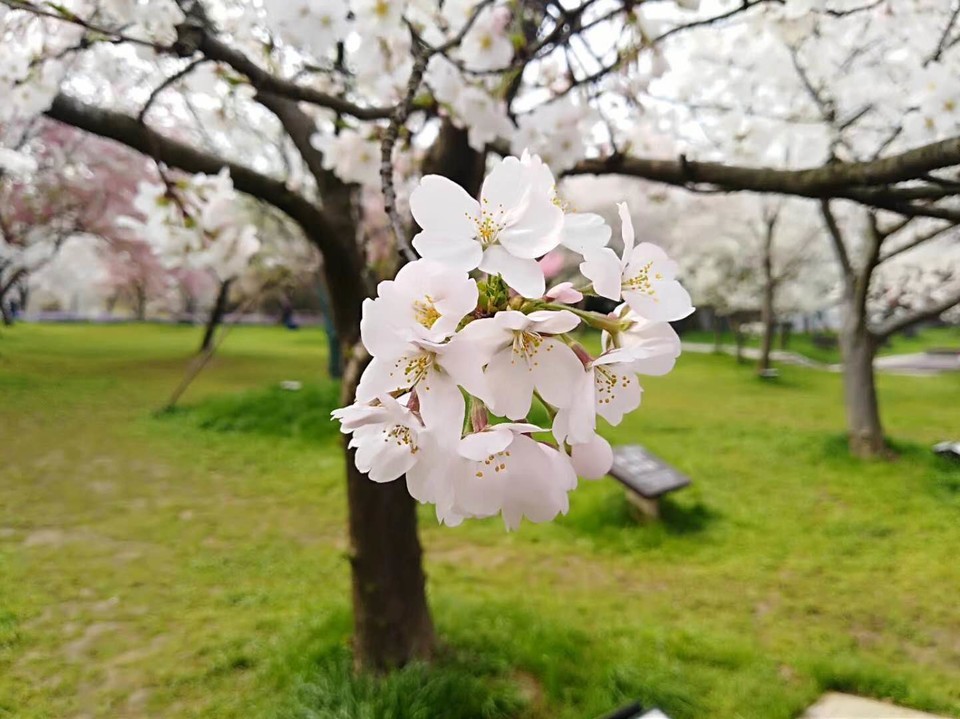 OBuwSCrNkkWO7h8QN946-sNQ75hQiIToBBx0Hq9B8XBGujadla_ToKPLQGxvZBro