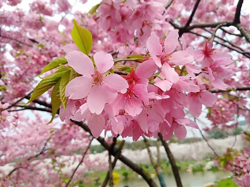 v05f2yHbY_54Tk62-ddsI2XH26DnWYOPTAX8IV9COPurc5YCCU-G2iyc_lV4Y_B5