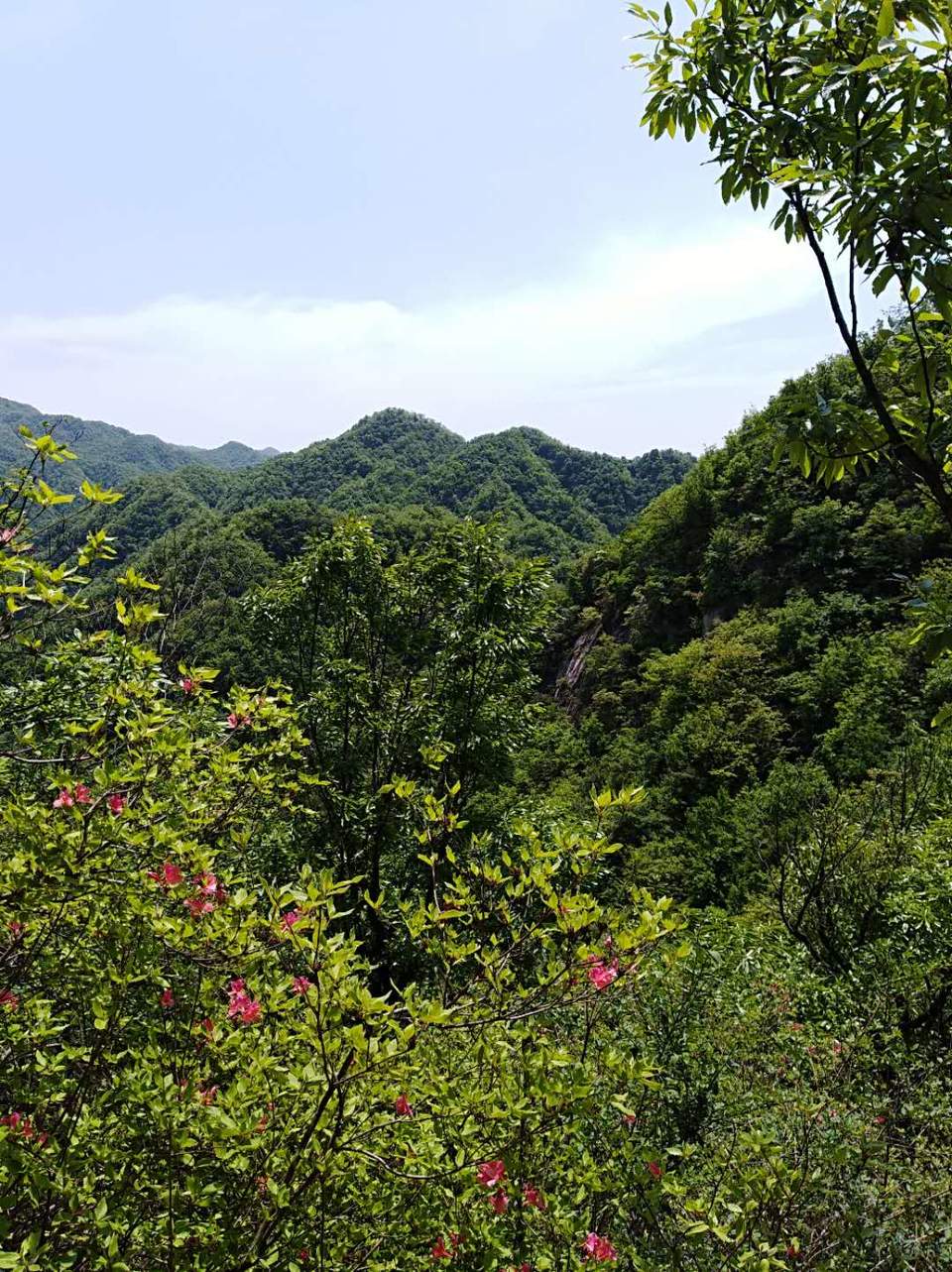 z6ZdY072OGb_XfcwVmFw7gqlm1i_RZ4ujTykUYXEQ80_vakjWYhz-qzYgWNSMZTe