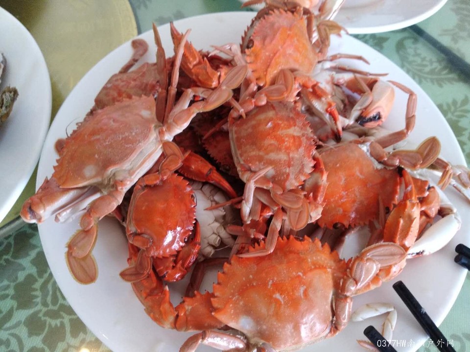 tZ533e3fDde_ip1UxP41TkPOgklHHkBuyAfi8FFWrIt9-Ujrn5qTu8xzIZ2bOr1-