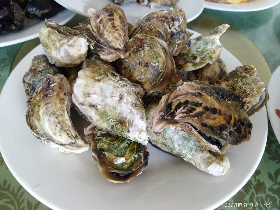 yhSwu5A25Ik2KL9Ndw-cv4bE4CvjkIaTfwNFdmbTqHPbtWVqZIELBOJTeR3wImKH