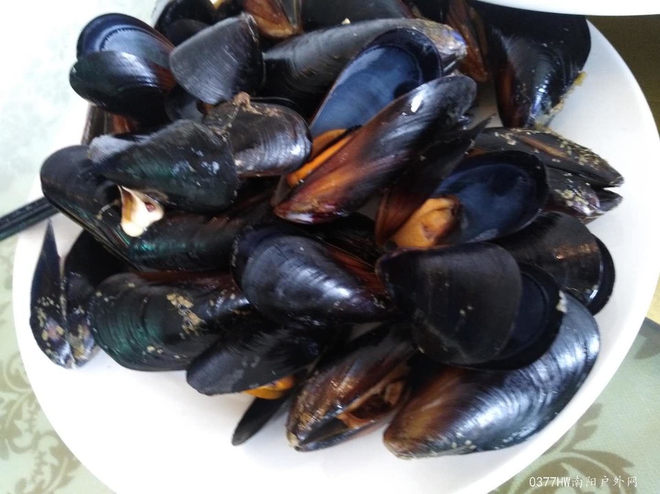 S-_uSDC8-wAtC4T68FkvaYcxdj0ujPs_QvseWjAWsrK07ey_t56oh3HOwh9zG3j4