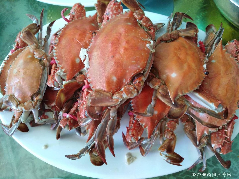 TwkxOjjXc1pb7pqzNAl3sxgObgKBc6GhUHIUJSHyrrxkqYy5Tak6lUzd3kYK4_AF