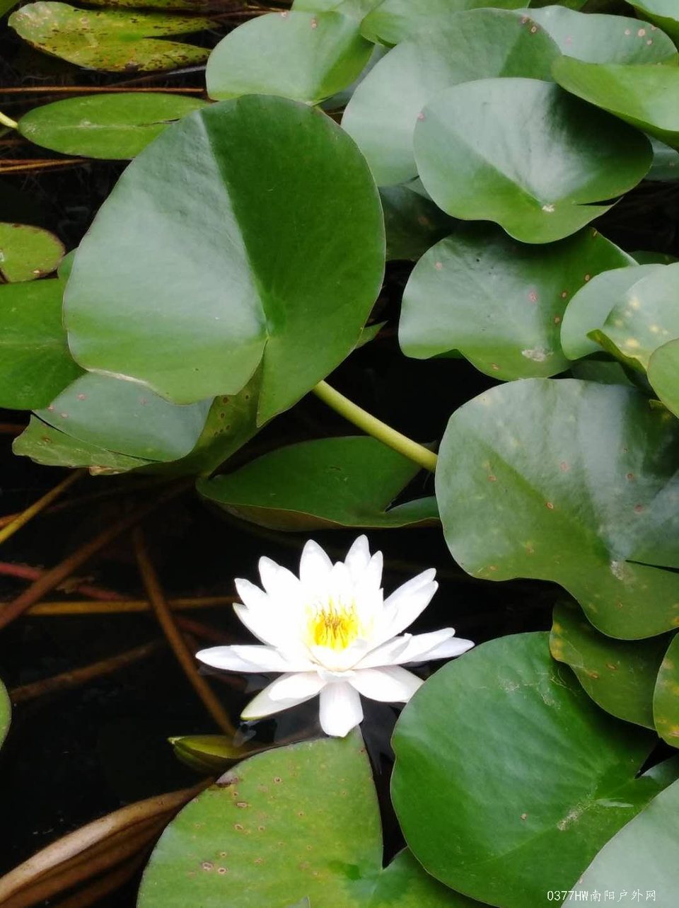 zCEITyvnhbyx0SyDvKlfLasOoa-Ak-uG09fGYwQT16NvJm9f3l4DpLDyDPG4HK_0