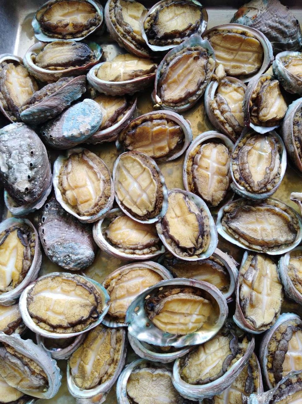 20_bUcaNoa8RWwOaXHKXfoY80rwvT5GdYnQR1UADfPMLz46V3uPTI4y5Ke3bPYOp