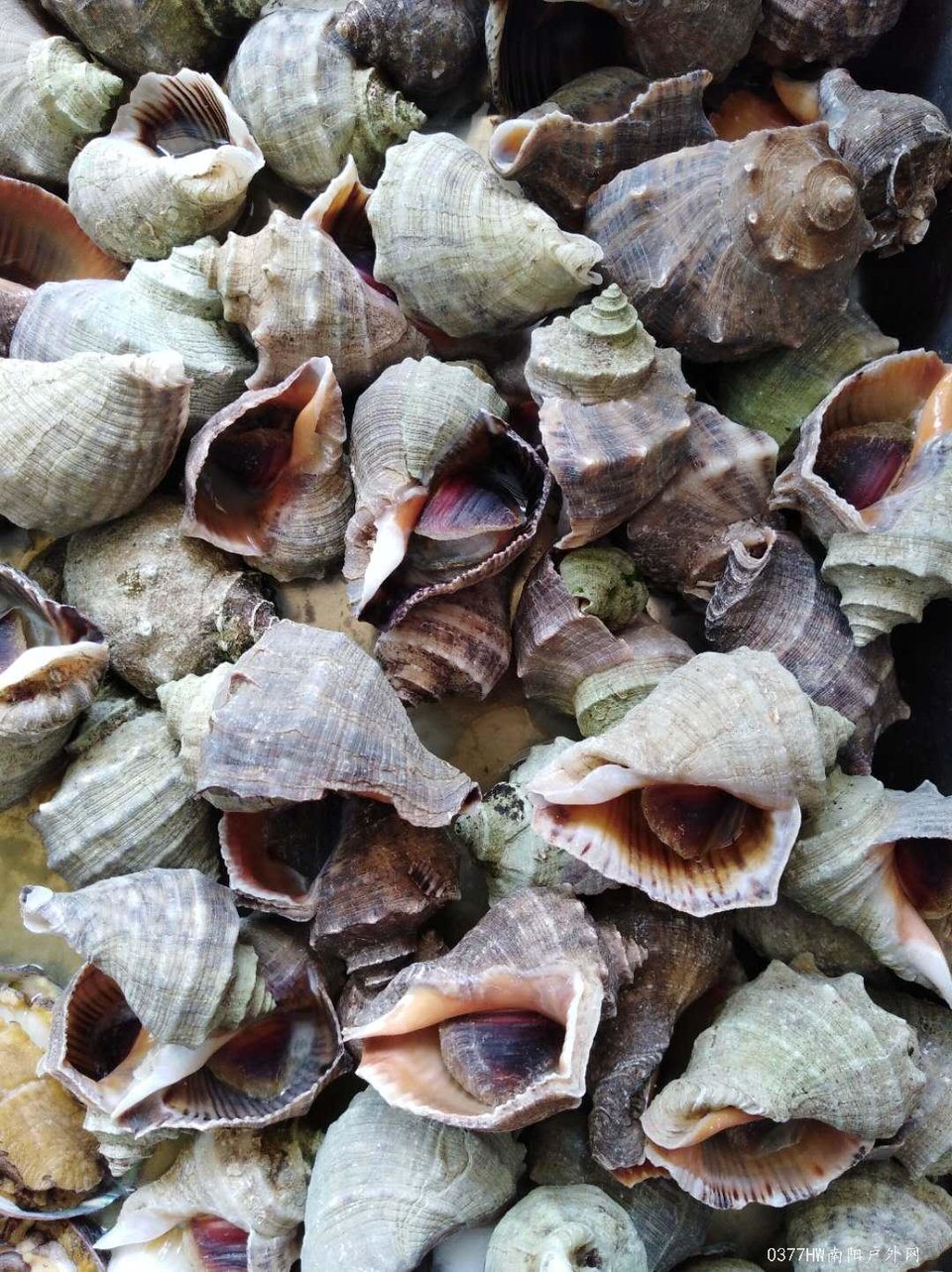 55rRHCKVn8hZdj_tCTQv4Gg_P_H9okpP2FWu5uL_ktG-rWmLxetrf6LifbJHXdDv