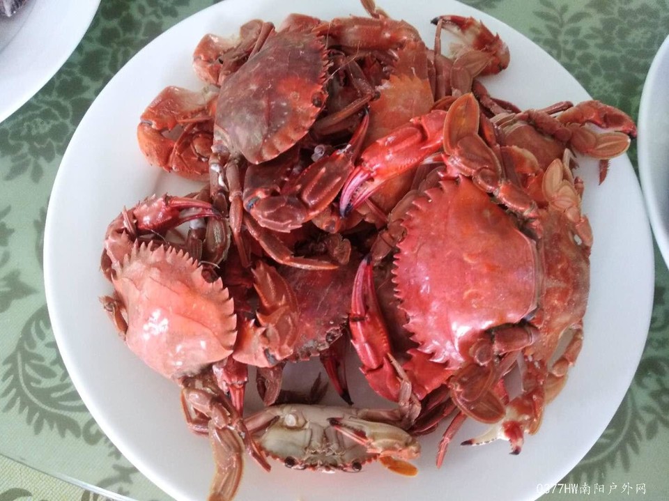 i4r-lNbHxgErHGEXo5tXcnfLvHABTO5mB2Mv9syoCHoM74tgSSjQN8ChijJZYhcY