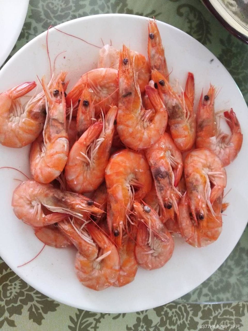 2j_z6zU8ShXZulq6uF8G22ZSW-sfzPo-rreNz7AR_-DH-qbgXSX9gSoCwDBFGhFL