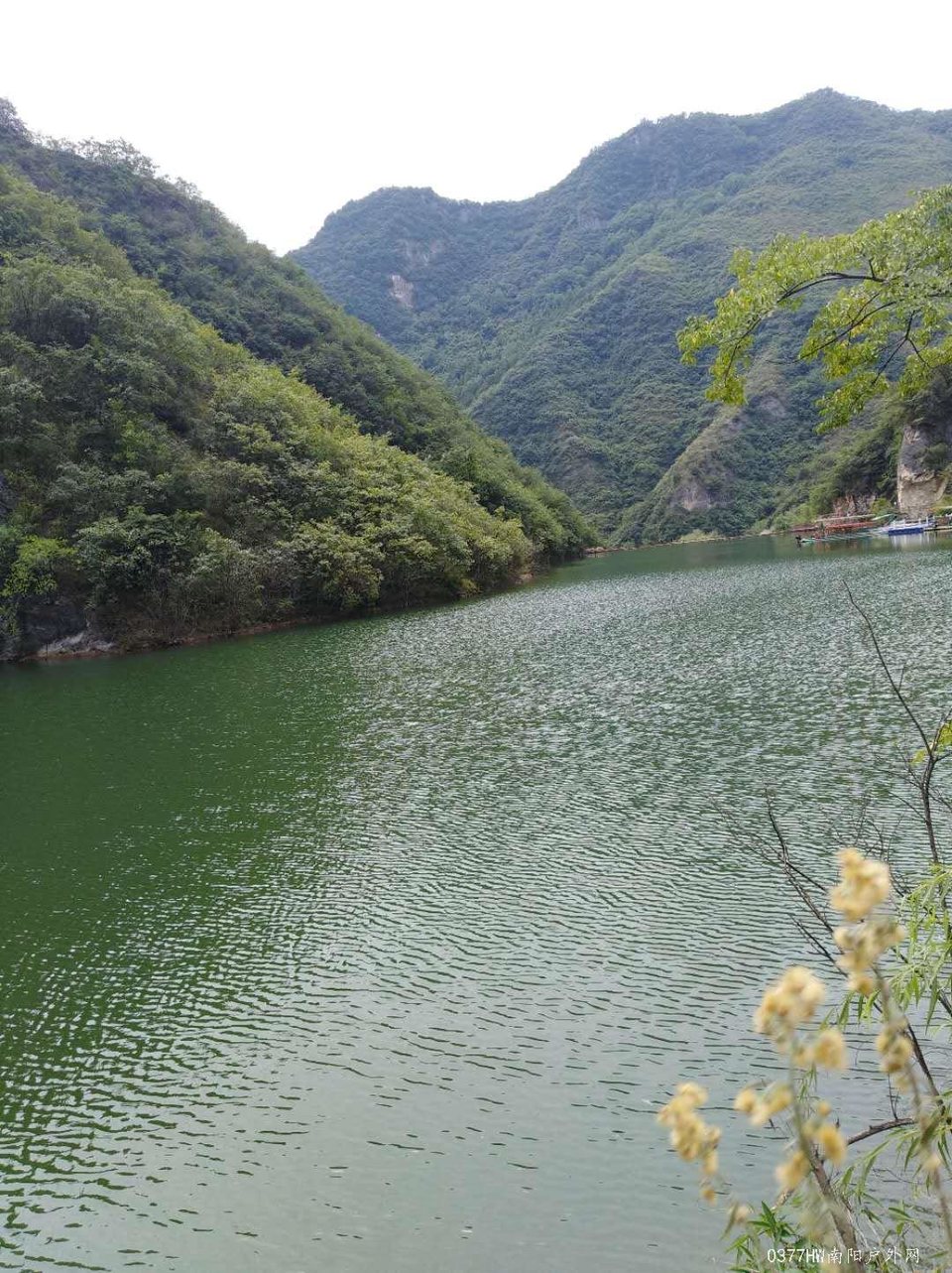 7qu3l700m-yxrI-0LSolGO18QNFlTJ7jmVId0Zh8VqxmV-p0EPYG8E6Kzkx1pH7Z