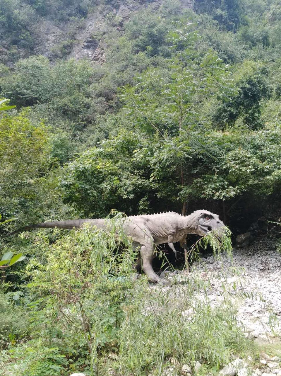 O84tB-jvPlxjkw0hIEE2mTS3MtDb1J8Ibk7I48jwL0-Z266z5XGfluna21mocVUJ