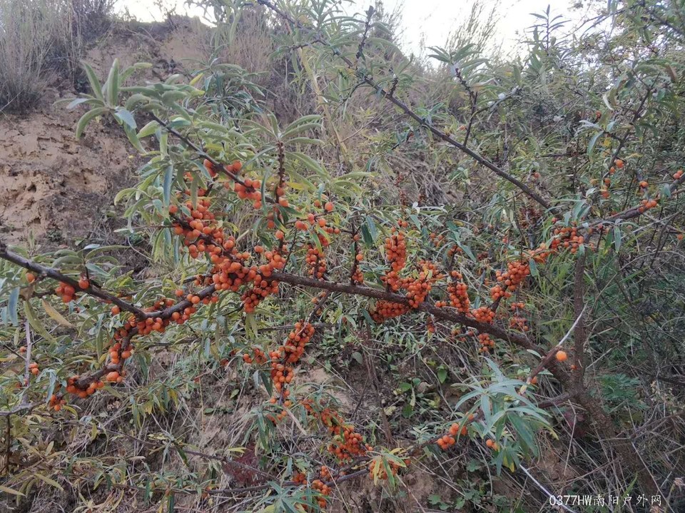 n4n02Wh7aWH5jsGEYHRsvcg6QMvrEUNLaYg3o1k9mkBS7P200ftDv8xqSeu5oTHH