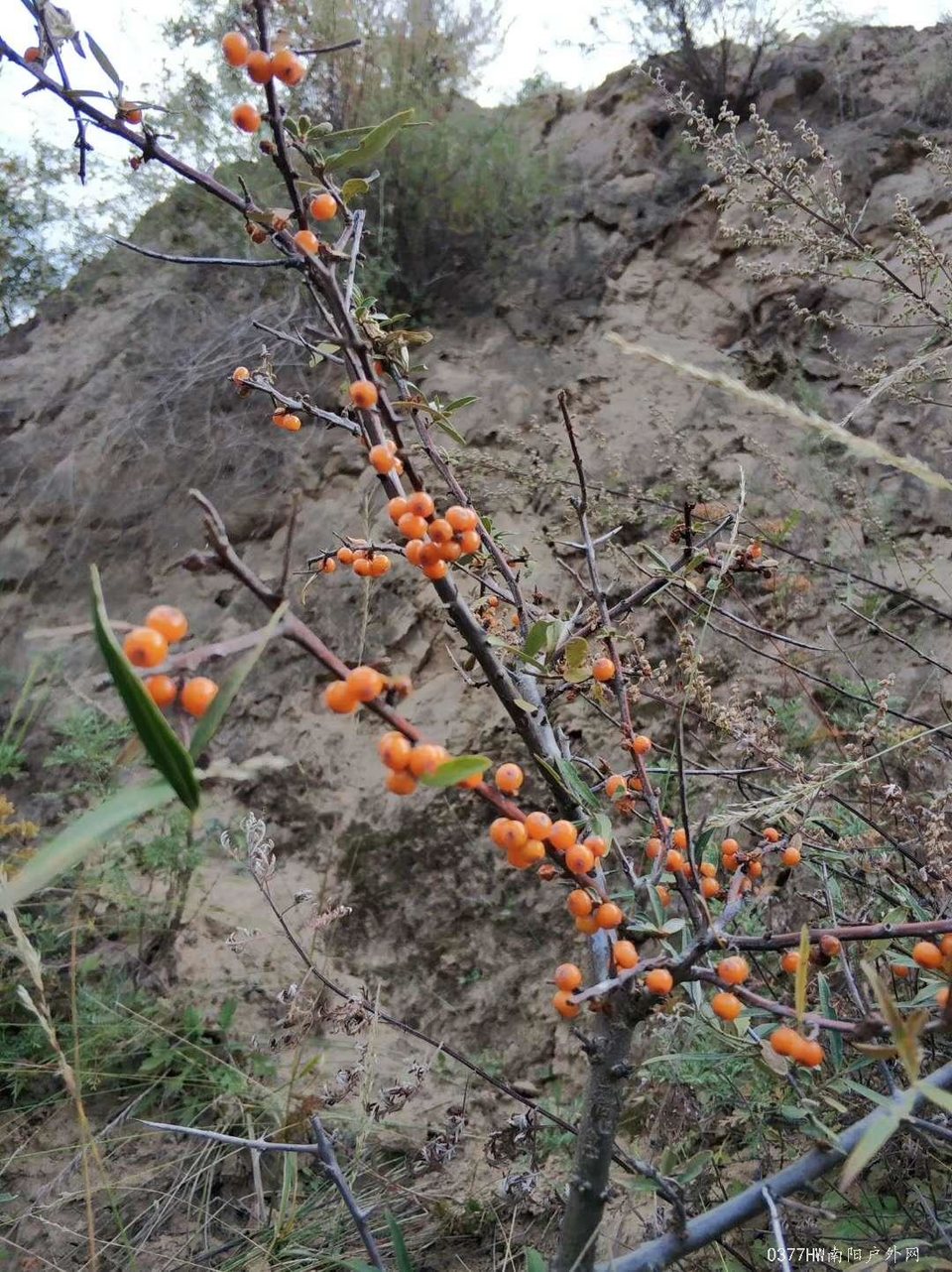 xwZ8DLk_9soKgUkMIrduStwejUsKtk6kUvMwKuTw4M6oqCVB6UA9GnsQuuvlPhvd