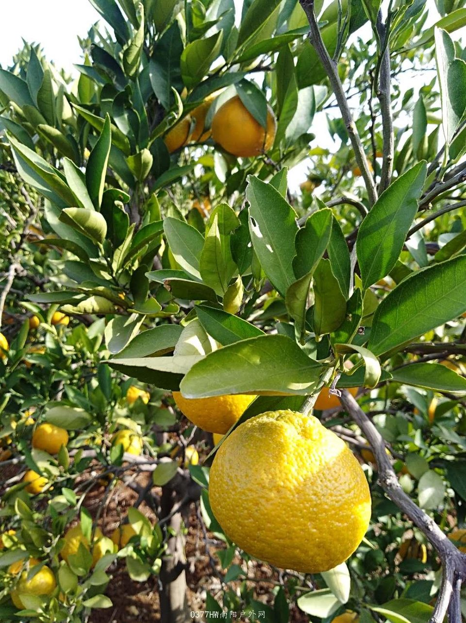 hd7JYM6-gA4tqurnBJg815dz7k7fBKzkooHc0Da_hCQe19vQ9JyYlGhthgK_g1BA