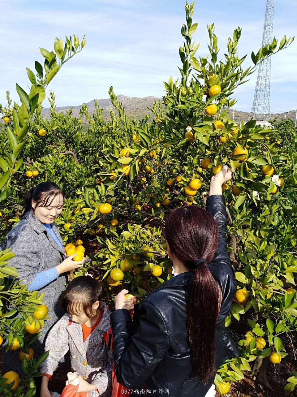 4yME98aEXPB0snty8J2j1b-qetxnxsSzitkGCli2fnsYZLj35w4VAk9eZJxQ9CSL