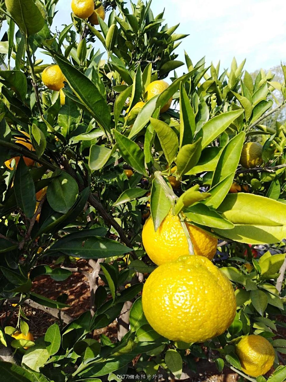 _JqhMOJUwZ_wUh9ltgqRghHbaeQFrVmhfMv13aT4PYlInUNVJnGoi8eCGMSRl7hX