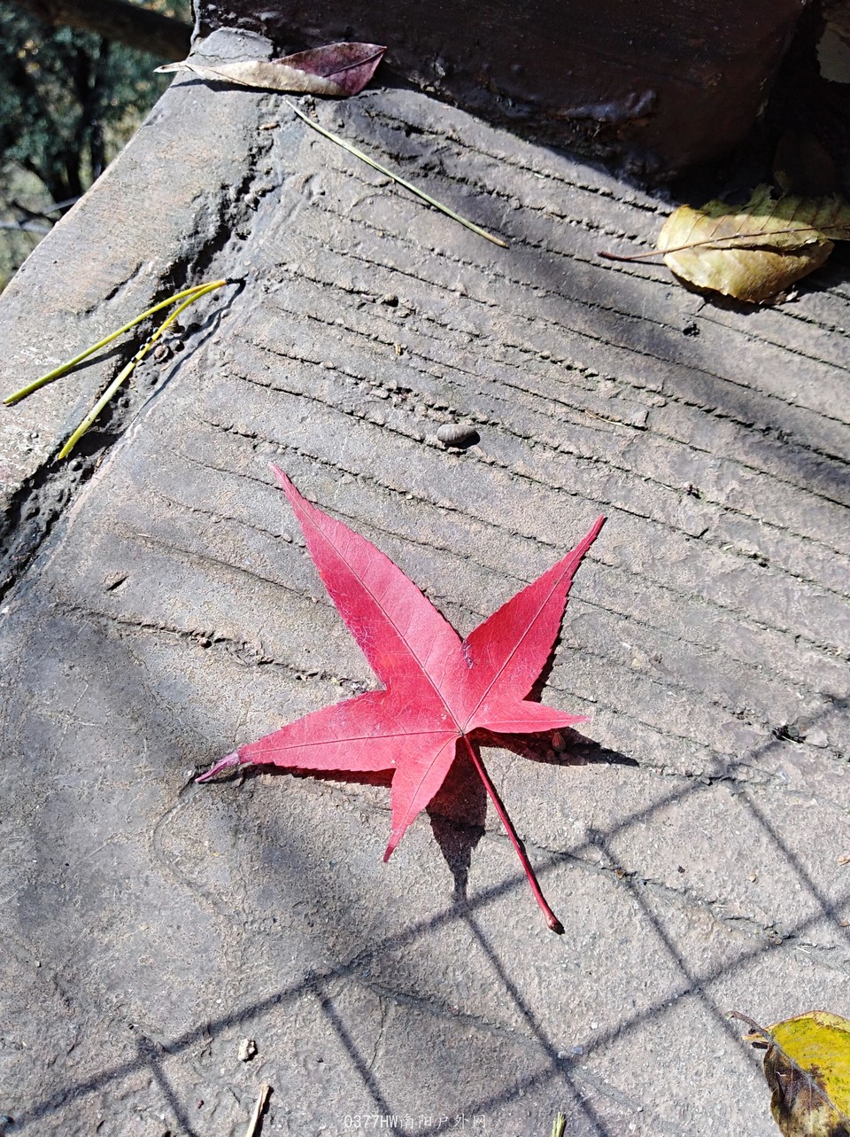 pag4TWjKd2VtX99jrkKMu_w1Sua8120jSeGCpLEJ2GJT7Qxn3OiZeLWZCq7ki-l4