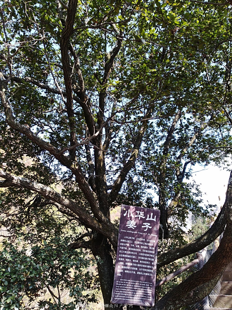 tBmPuOLOno5SLUgfR6fOY-5-rERZExrqv4WcG5VbOBg9WzF48JoF69v-BYLxKLpn