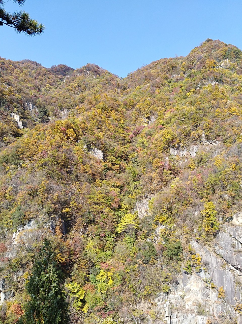 wG7T4OrC0_iReceQiQaGQVXPKqzwSILpVkZmSYFEeXC9irRClLwEzV8-HTDTXp1B