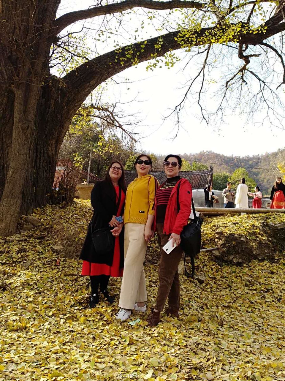 SNXKHNCOFmHGhLJE59LlF9Eq_2UJphY_qoK-qhEL48j62Aqcyj6zzu873tfgU4EK