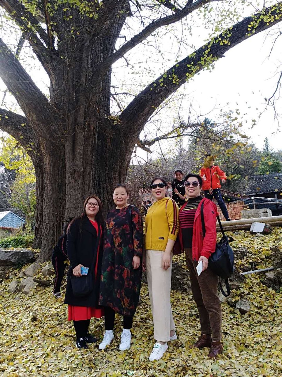 8M4gndPcf2-guX-xb-T5kLitFSlV_9KUtkhwIb3tv4IO4cRo77pVGraIaeNypsAb