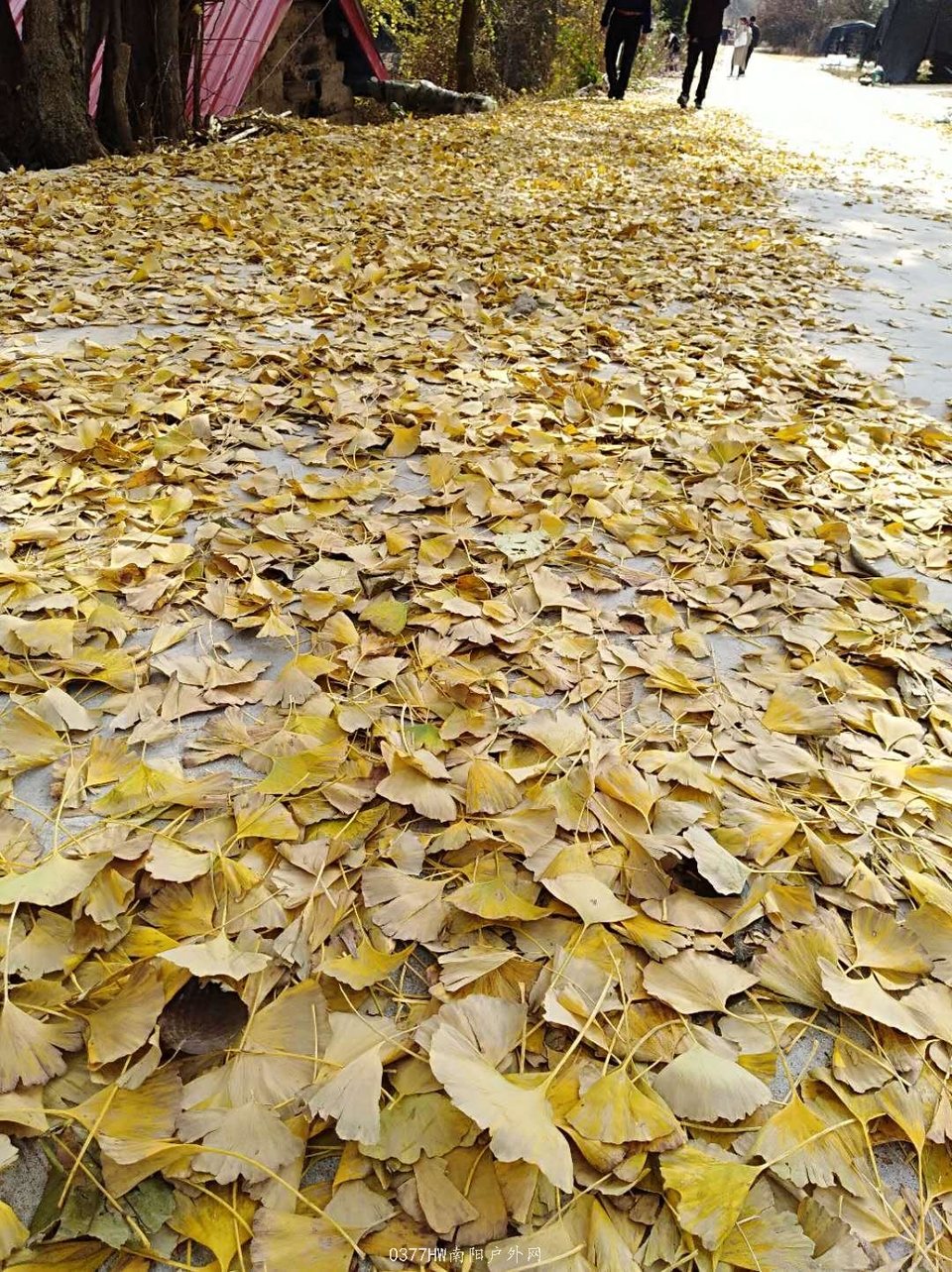 mWl6DNppwmpovQyHboyQ8BvbMlw0CdFv4_MVWBVIyouySSlh0OcocV9vEKXXw5_q