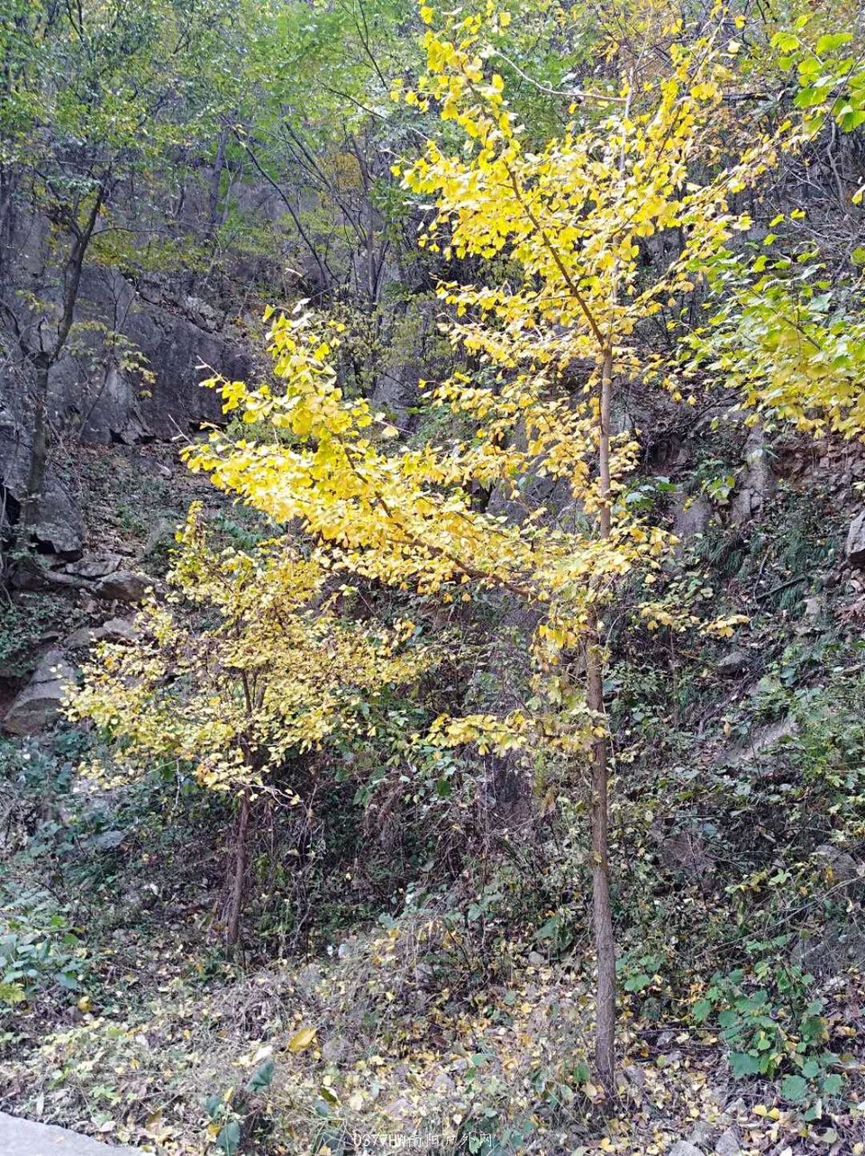 sF2IiiSoYK1dgEma0x08K_6kDDANuldbEMLrWAZPpqLj2XtSd1DrdgiS6EL4T88U