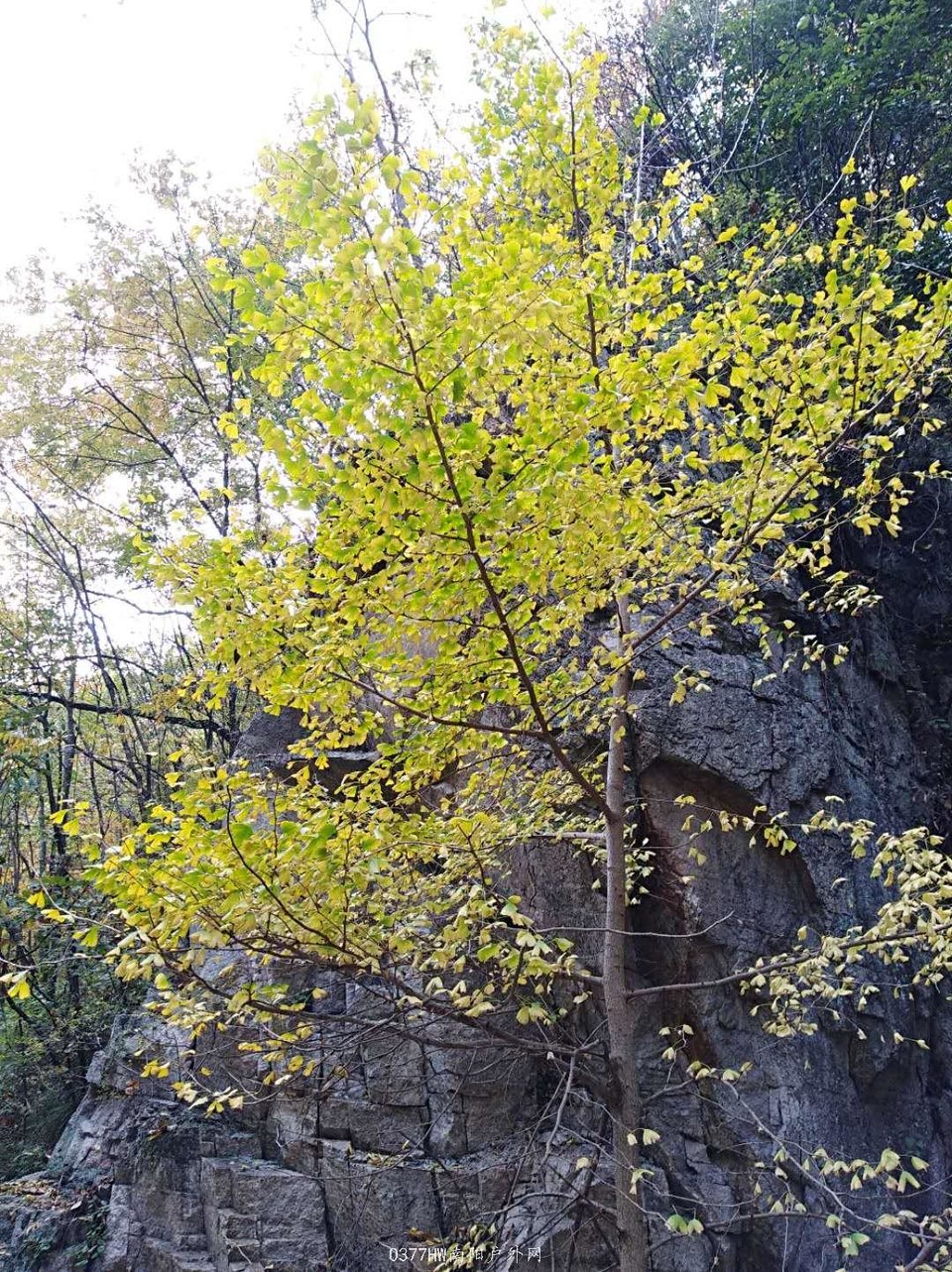 3L5ePd6Uzl_QkFLRuC9CKv-WQ9SuT7Yg817Dph4YZ3AGmoEkiqNhCv7pgMNU8YHF