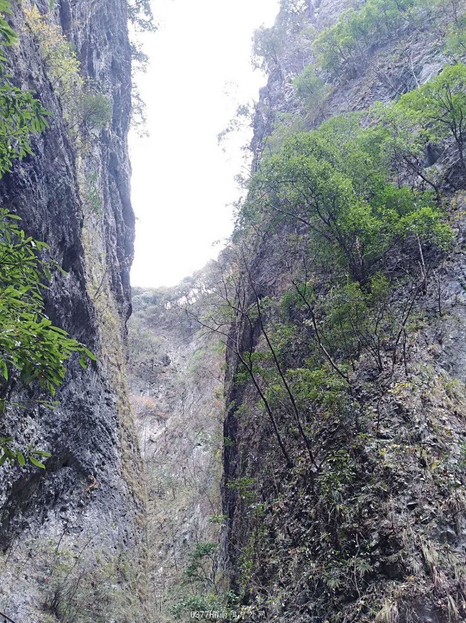 jvLQCwpXMoz1oDz2RxLQp0s_TwDyVeKgn5vL1B7mIEG_G4GiMqZXfKEX-utP0TfW