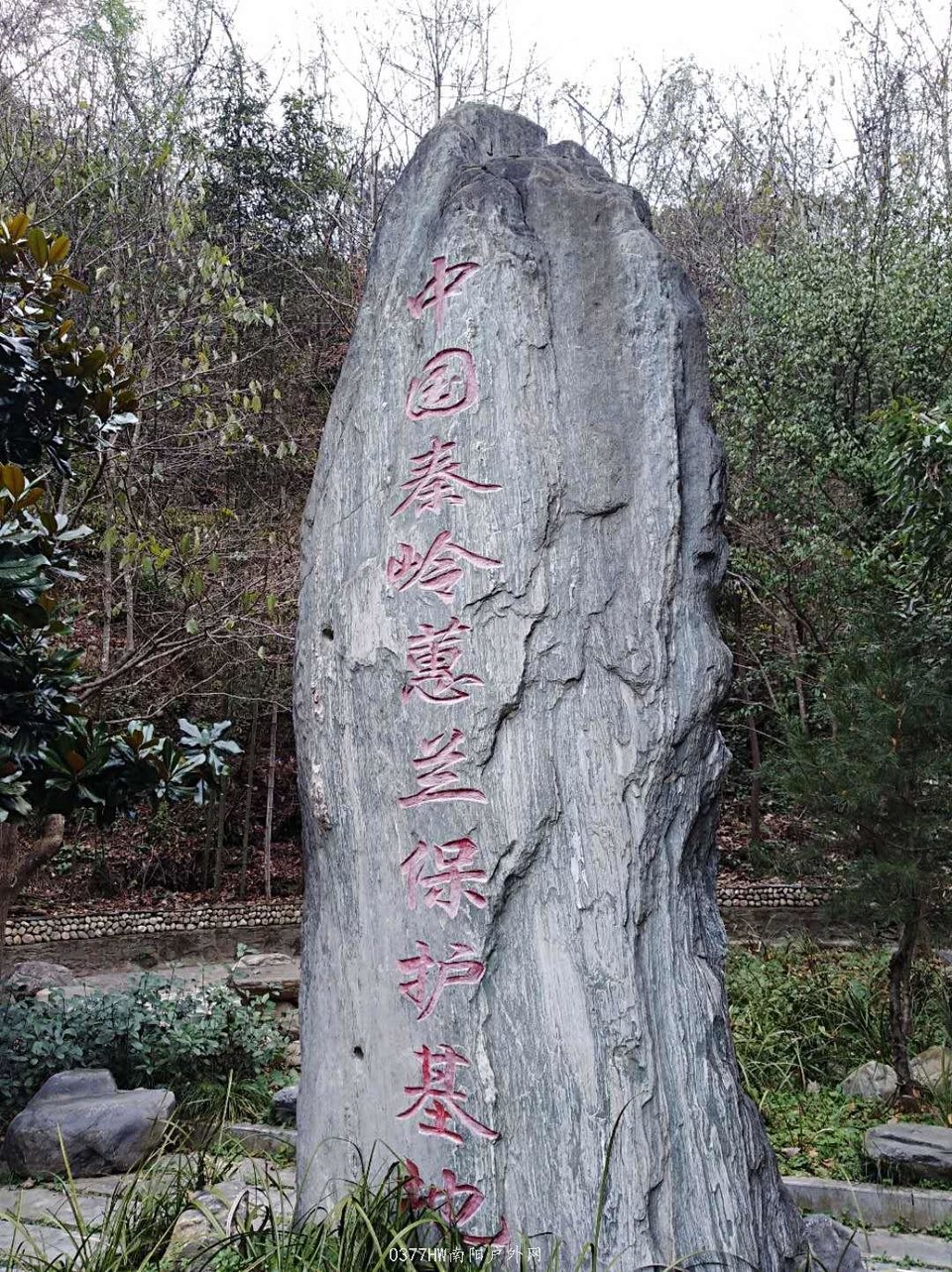 eSRzKRJkGwYJINS8R-YAsYEd1YQLnljJGo89pnohUxvWOk39haMY8mIPJ3gl5o6r