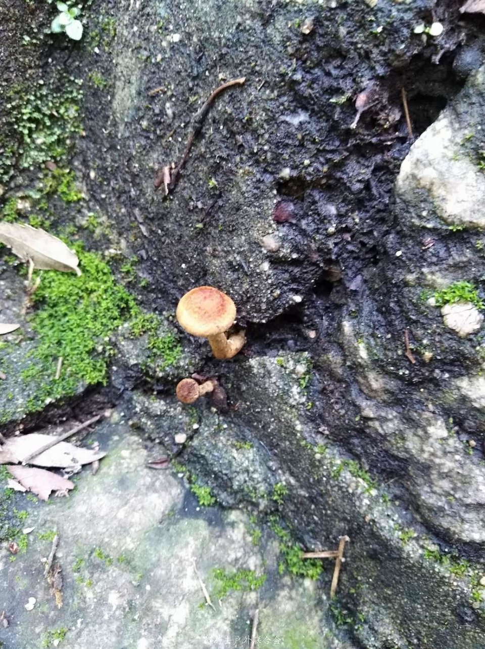 T1YFaB2_u0svVXGkt6dV5CTHv_D0QYFfmkPAObeucxzHwDFjQ6D1x2StDZ7Z2-cR