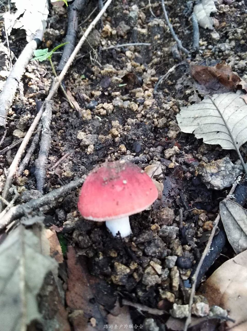 9MCfJE283Uh7WWMTJuW_GHPcPnvwMUBJ22F5r9n4zKuCy4BxASc1g8Am4bAZLl99