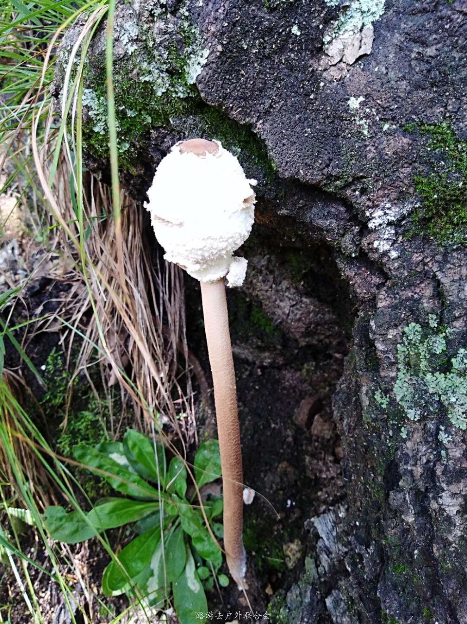 c0_ObMpJfBH941Db_GvhDDkRmvpV9hDKO5Ad7Z_MiPvvQWyt15wo8LIKjAbXN7Eg