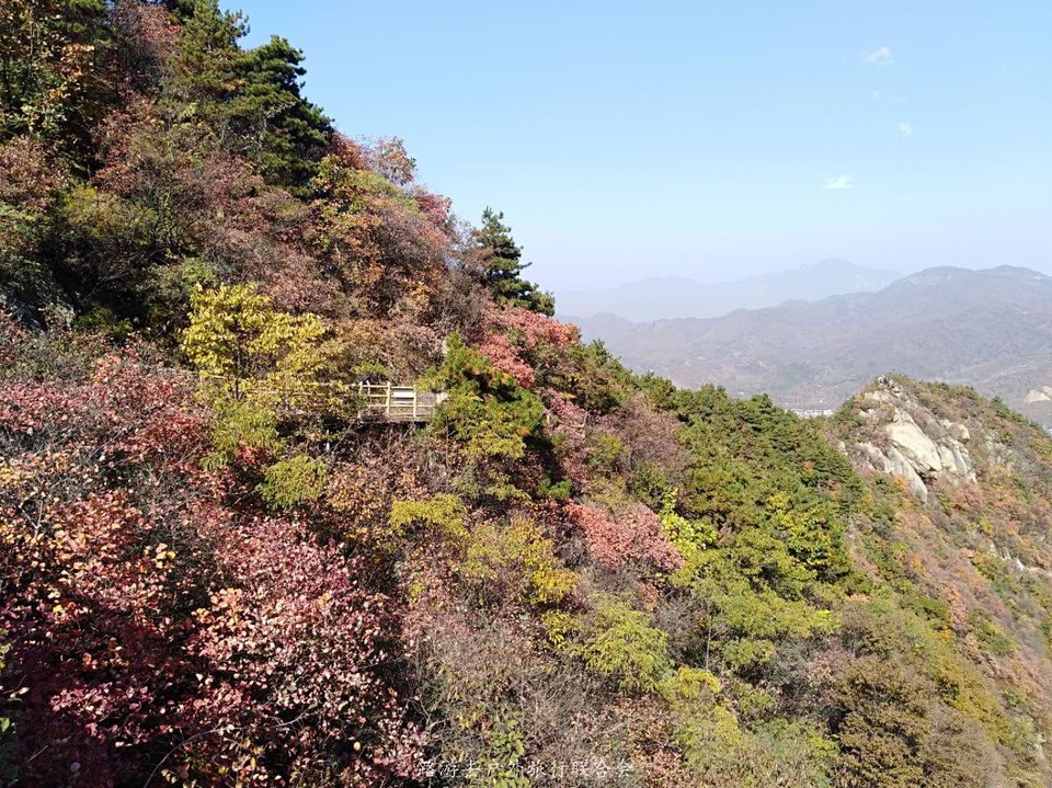 4Gw5coTqB9dr54svuN1Qf4kmxO9g0-qUSE0Xx1X6A-YZrTbgM4qfkwZ0S5OEKRzY