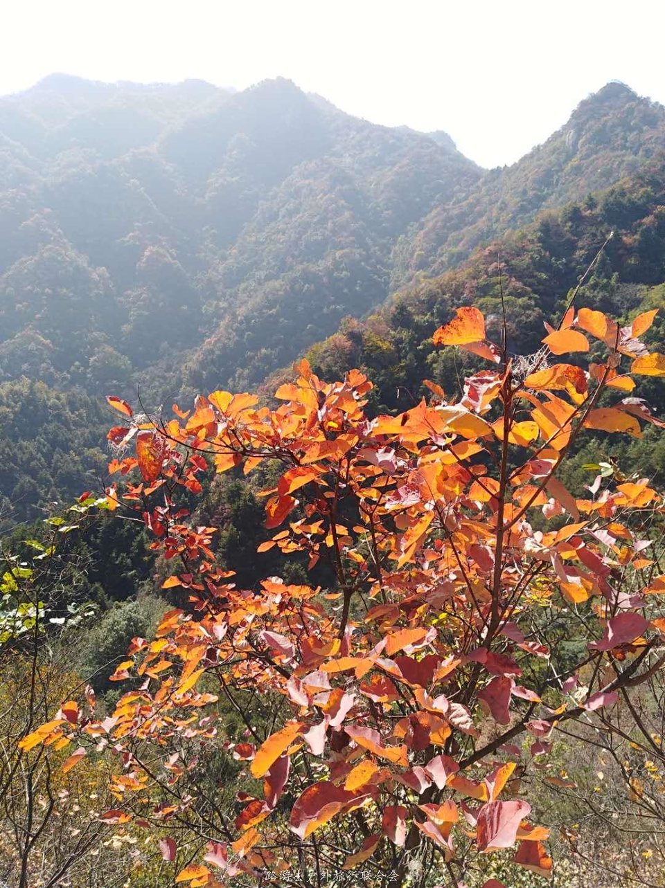 AvgfSliPkwUww0iYuvMWXL0Ie1_5WZMFuy_lDEtdPRUCQDZCc9c5I47AWbOYkTjM