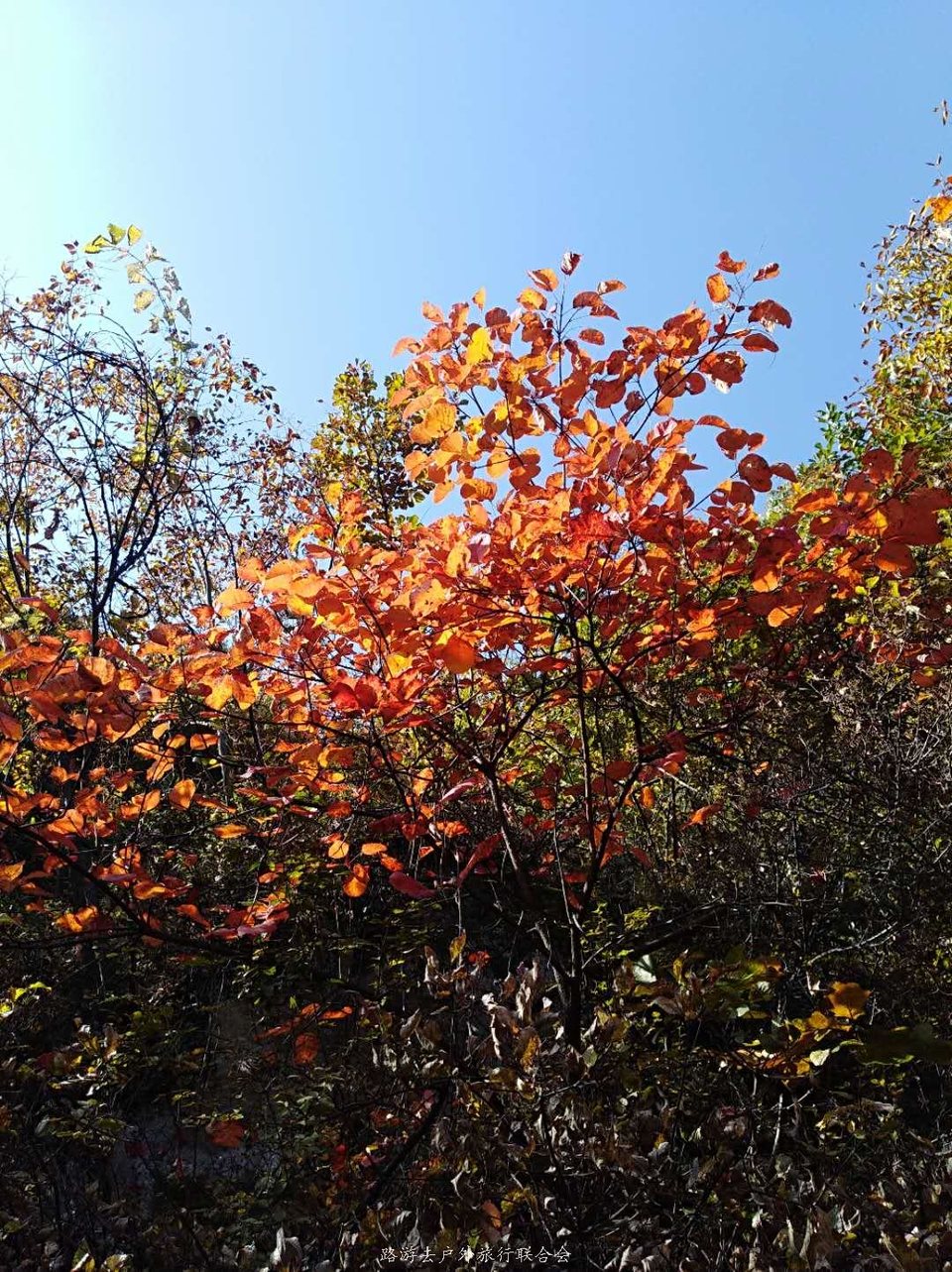 myDfyfyiCBvq5NCDbsNxOdcGgDx-ocJsqVt336bjm0h6XG7jpiVVqzTRayVb7Rdj