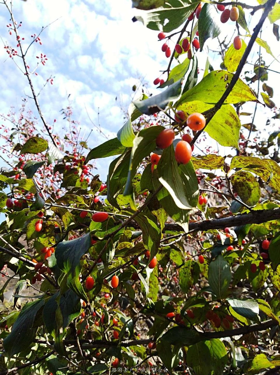 qnXQ9k7lQc8XsKAifs6JwUVtaYTwG5BQpYE65r8WJiJR3xO2jW7QGiAOko7HdLL1